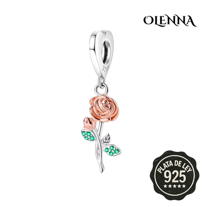 Colección Soul Stories