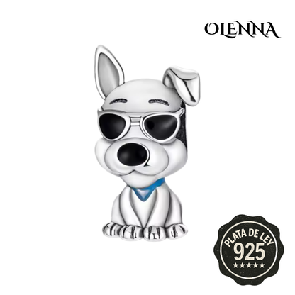 Colección Magic Pets