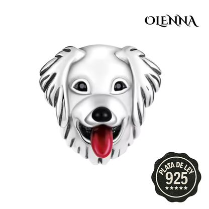 Colección Magic Pets